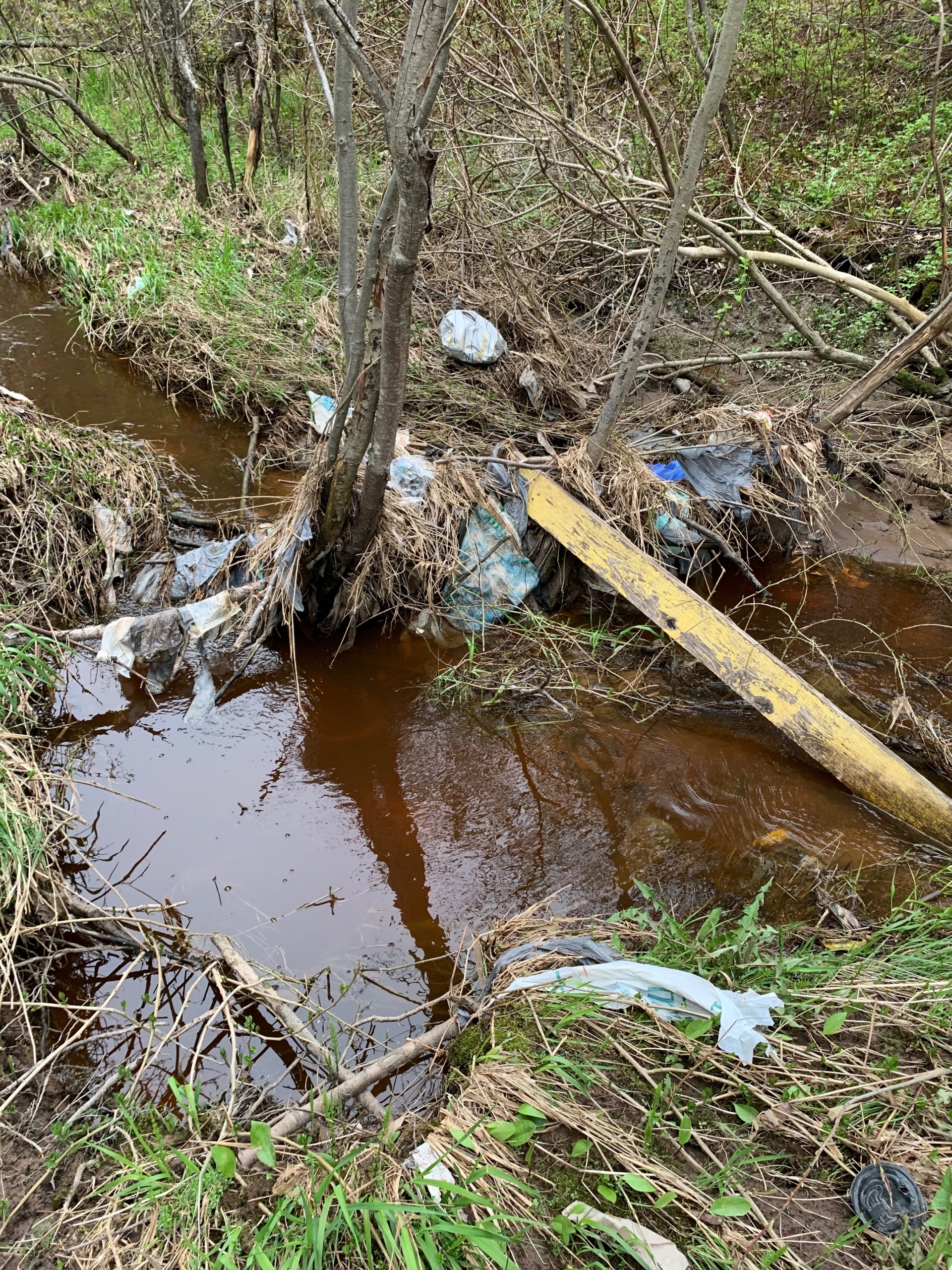 Ashmun Creek photo before cleanup