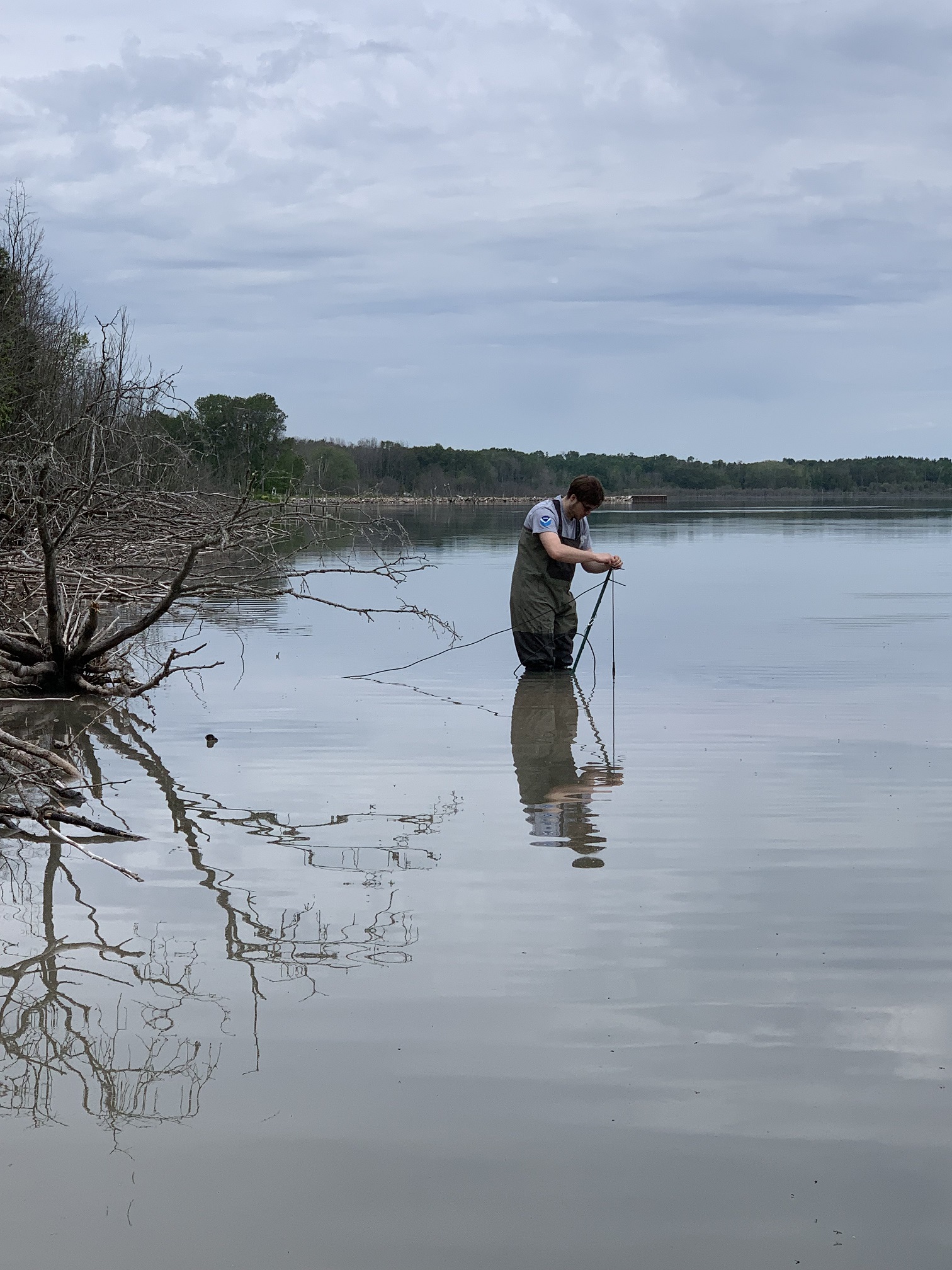 oil pollution sensor being placed