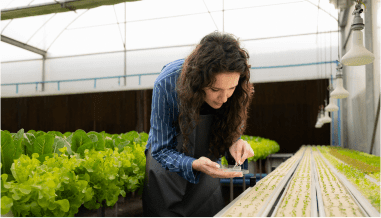 Aquaponics Entrepreneurship